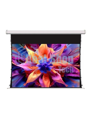 Экран для проектора S'OK SCPSMT-250x140FG-ED60, 113