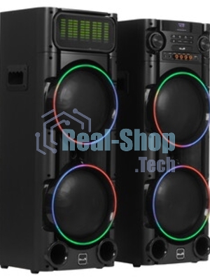 Колонка Eltronic 08