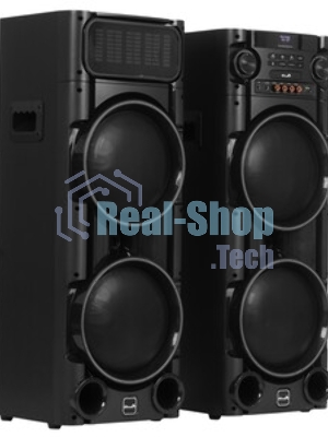 Колонка Eltronic 08
