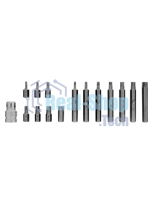Набор бит Stels TORX, хвостовик-шестигранник, 10 мм, CrV, 15 предм.