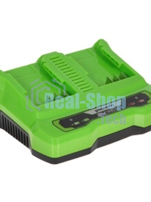 Зарядное устройство Greenworks G24X2UC2, 24V (2931907)