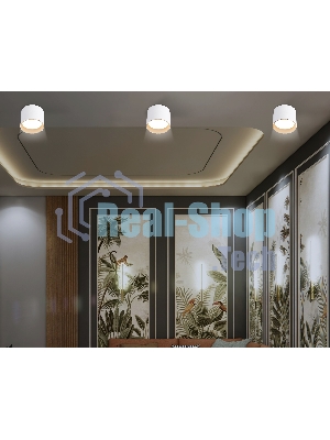 Светильник Ambrella light TN5304 WH/GD белый/золото GX53 max 15W D83*65