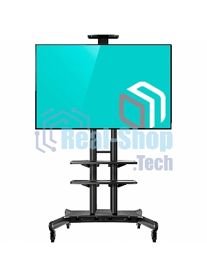 Стойка для телевизора с кронштейном ONKRON TS1881 50