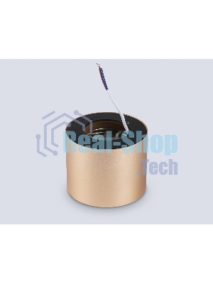 Светильник Ambrella light TN5305 GD/BK золото/черный GX53 max 15W D83*65