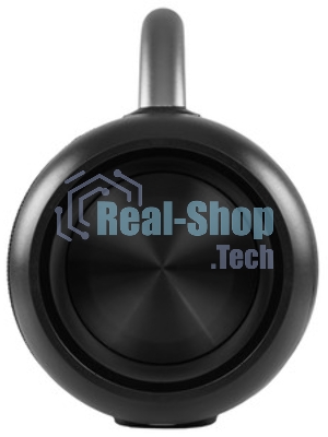 Колонка беспроводная Smartbuy MASTER, черный