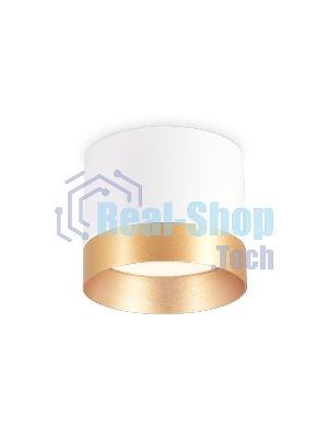 Светильник Ambrella light TN5315 WH/GD белый/золото GX53 D82*70