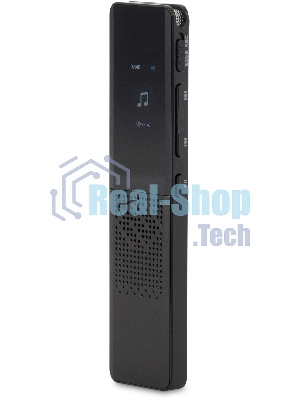 Диктофон Цифровой Digma DiVoice RV70 32Gb черный