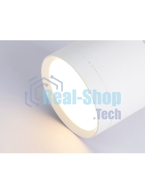 Светильник Ambrella light TN5350 WH белый GX53 D82*70