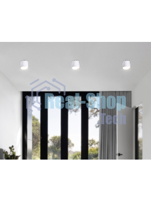 Светильник Ambrella light TN5350 WH белый GX53 D82*70