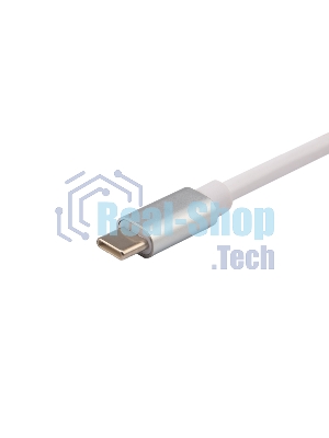 Переходник Rexant Type-C (Male) - HDMI (Female)