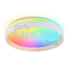 Светодиодный светильник RGB Ambrella light FZ601 WH/GD белый/золото IP20 46W 3000K-6500K+RGB D390*80 (ПДУ ИК)