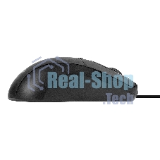 Мышь проводная ExeGate Professional Standard B100 черный, 1000 dpi, USB, кнопки - 3