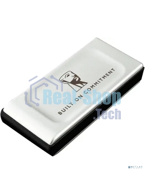 Внешний SSD Kingston XS2000, 500 Gb, USB 3.2 Gen 2x2 Type-C, R/W 2000/2000, серебристый