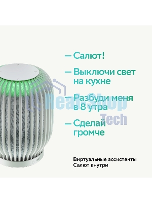 Умная колонка Sber SberBoom, 40Вт, стандартная, 1 динамик, Мультирум, Стереопара, Wi-Fi, Bluetooth 5.0, Салют, белый
