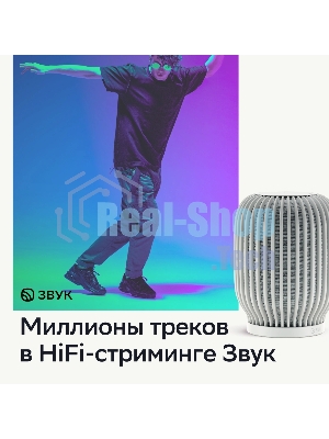 Умная колонка Sber SberBoom, 40Вт, стандартная, 1 динамик, Мультирум, Стереопара, Wi-Fi, Bluetooth 5.0, Салют, белый