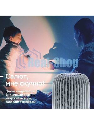 Умная колонка Sber SberBoom, 40Вт, стандартная, 1 динамик, Мультирум, Стереопара, Wi-Fi, Bluetooth 5.0, Салют, белый