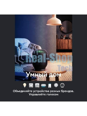 Умная колонка Sber SberBoom, 40Вт, стандартная, 1 динамик, Мультирум, Стереопара, Wi-Fi, Bluetooth 5.0, Салют, белый