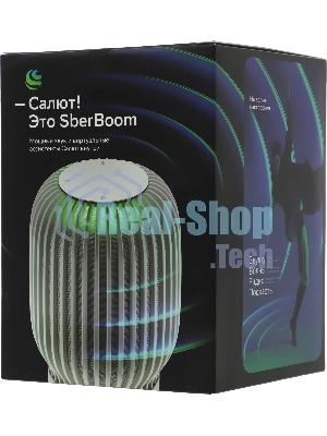 Умная колонка Sber SberBoom, 40Вт, стандартная, 1 динамик, Мультирум, Стереопара, Wi-Fi, Bluetooth 5.0, Салют, белый