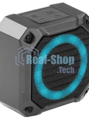 Портативная колонка Soundmax SM-PS5007B серый