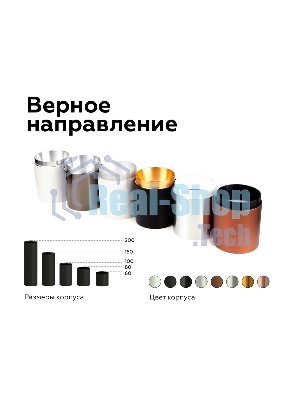 Насадка для корпуса светильника N6122 PSL серебро полированное D60*H32mm Out10mm MR16