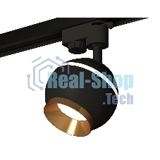 Светильник Ambrella light XT1102005 SBK/PYG черный песок/золото желтое полированное GU5.3 LED 3W 4200K (A2521, C1102, N7034)