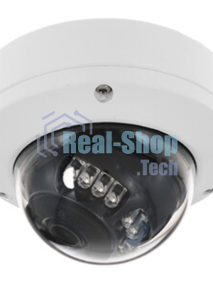 Видеокамера IP Trassir TR-D2D5 2.8-2.8мм цветная