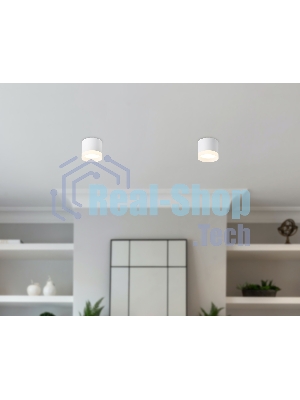 Светильник Ambrella light TN5365 WH белый GX53 D82*70