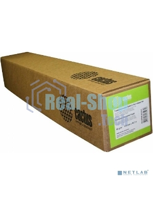 Бумага Cactus Eco CS-LFP80-420457E A2 420мм-45.7м/80г/м2/белый CIE155% (упак.:2рул)