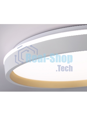 Светодиодный светильник RGB Ambrella light FZ607 WH/GD белый/золото IP20 66W 3000K-6500K+RGB D490*85 (ПДУ ИК)