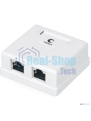 Розетка компьютерная RJ-45(8P8C) Cabeus WS-8P8C-Cat.6-SH-2 категория 6, экранированная, двойная, внешняя, Dual IDC