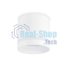 Светильник Ambrella light TN5371 WH белый GX53 D82*80