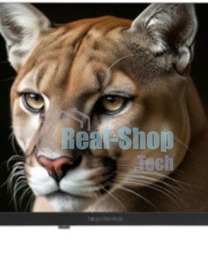 Телевизор TopDevice 24