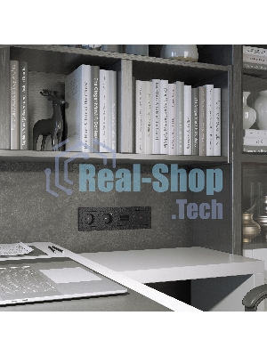 Накладка для двойной розетки Еthernet RJ-45 (черный)