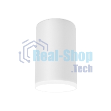 Светильник Ambrella light TN336 SWH белый песок GU5.3 D65*100