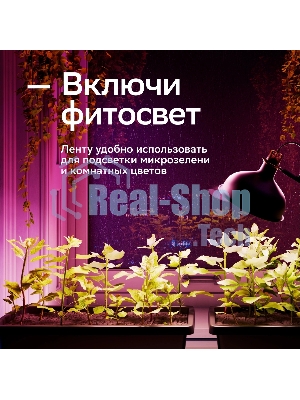 Лента светодиодная для управления светом/электроприборами Sber SBDV-00033