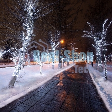 Гирлянда Neon-night LED Клип-лайт 12 V, прозрачный ПВХ, 150 мм, цвет диодов белый
