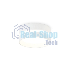 Светильник Ambrella light TN5388 SWH/FR белый песок/белый матовый GX53 IP44 D85*41