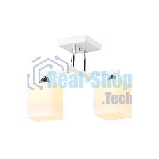 Светильник Ambrella light TR303111/2 WH/CH/FR белый/хром/белый матовый E27/2 max 40W 360*190*290