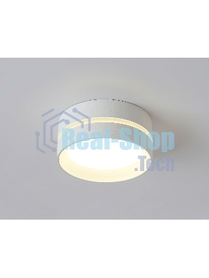 Светильник Ambrella light TN5388 SWH/FR белый песок/белый матовый GX53 IP44 D85*41