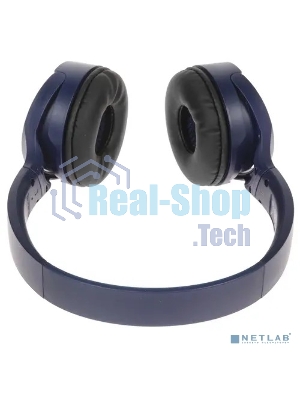 Беспроводные наушники Panasonic RB-HF420BGEA синий, накладные, Bluetooth, быстрая зарядка