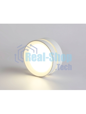 Светильник Ambrella light TN5388 SWH/FR белый песок/белый матовый GX53 IP44 D85*41