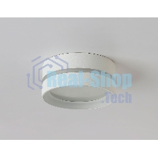 Светильник Ambrella light TN5388 SWH/FR белый песок/белый матовый GX53 IP44 D85*41