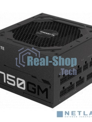 Блок питания Gigabyte P750GM (GP-P750GM), 750Вт, 80 PLUS Gold, 120мм, модульный, черный