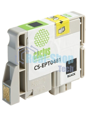 Картридж струйный Cactus CS-EPT0481 черный (14,4 мл) для Epson Photo R200/R220/R300/R320/R340/RX500/RX600/RX620/RX640