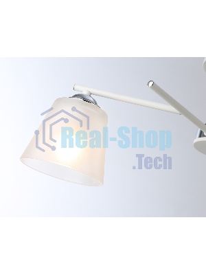 Светильник Ambrella light TR303201/2 WH/CH/FR белый/хром/белый матовый E27*2 max 60W 470*370*260