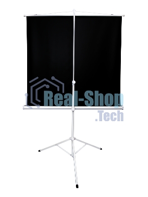 Экран 221x124.5см TriScreen 16:9 напольный рулонный белый100' Matt White (MW), серый корпус
