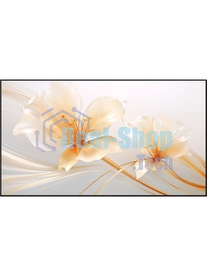 Экран на раме Xgimi 127.6x224.5 см 100