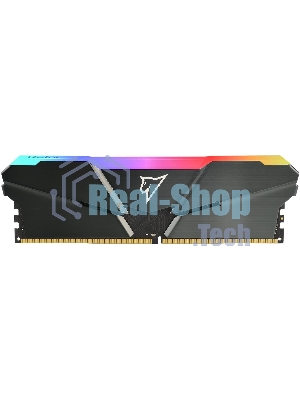 Оперативная память NETAC Shadow, DDR4, 16GB (1x16GB), 3200MHz, CL16, DIMM, с радиатором, RGB, серый