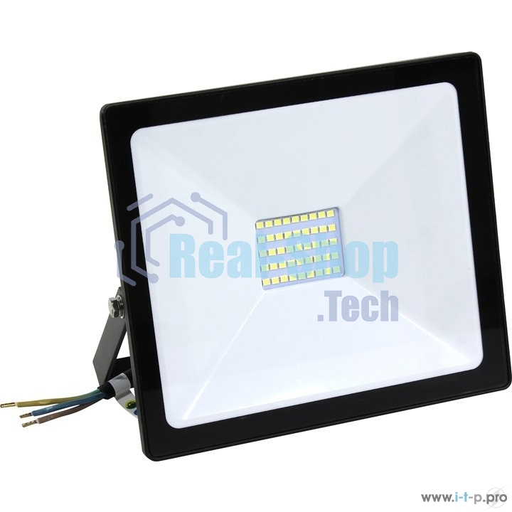 Светодиодный (LED) прожектор FL SMD Smartbuy-30W/6500K/IP65 (SBL-FLSMD-30-65K)