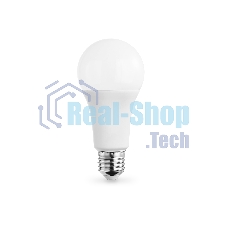 Лампа светодиодная 652504 LED A65 25W IC E27 4000K 175-265V